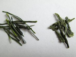 gyokuro vs sencha