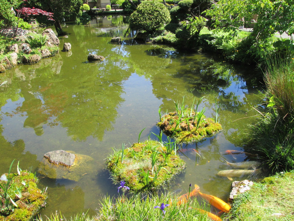 Japanese Tea Garden In San Francisco