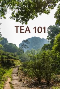 Tealet Tea 101