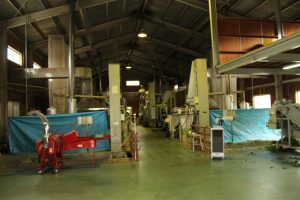 tencha processing plant