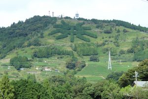 Chinese character for tea at Awaga Peak