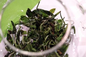 Fresh-leaf tea from Millennia Tea at WTE2017