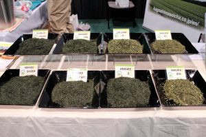 Loose leaf tea from Kagoshima Seicha at WTE2017