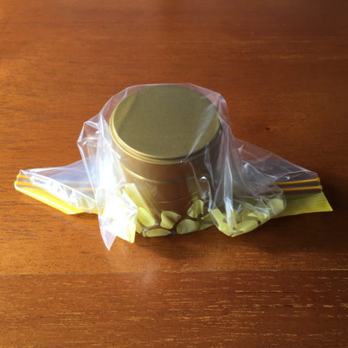 Aging Green Tea in the Refrigerator